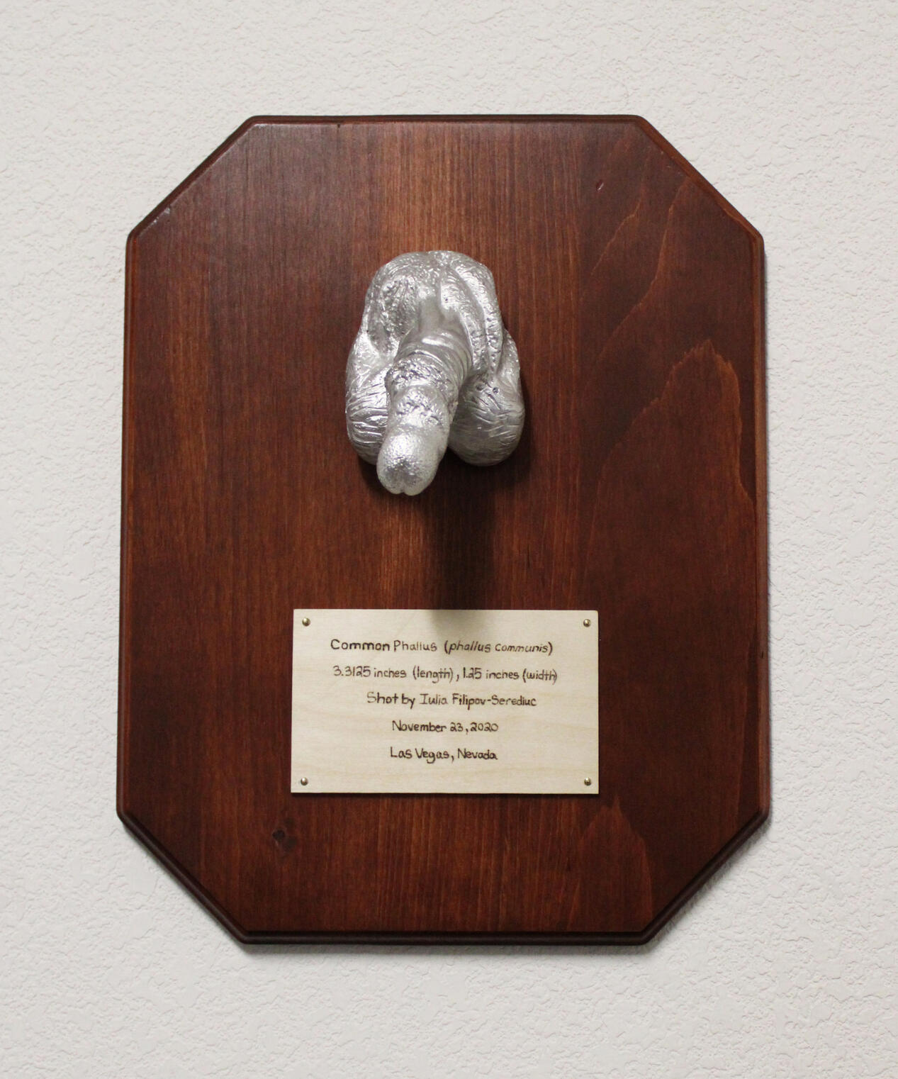 Trophy Hunting Trophy Hunting