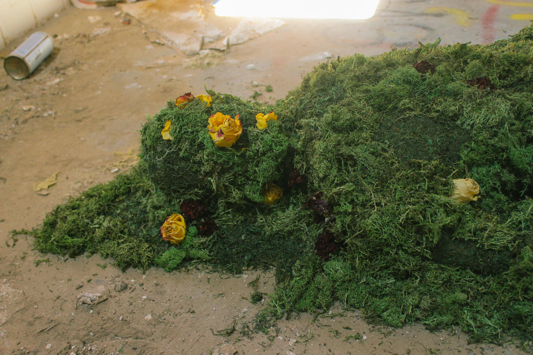34.94818° N, 116.68449° W (2) 34.94818° N, 116.68449° W (2)