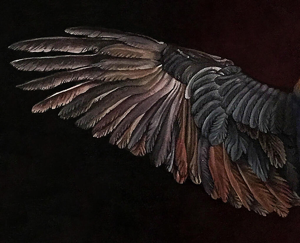 Bird Side Bird Side