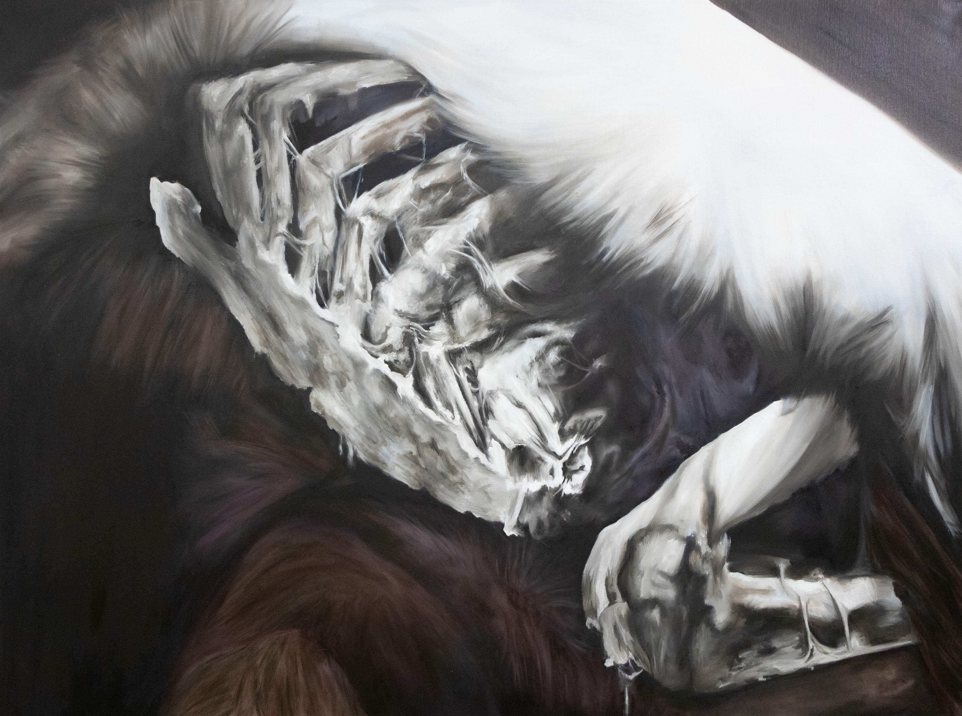 ROADKILL ROADKILL